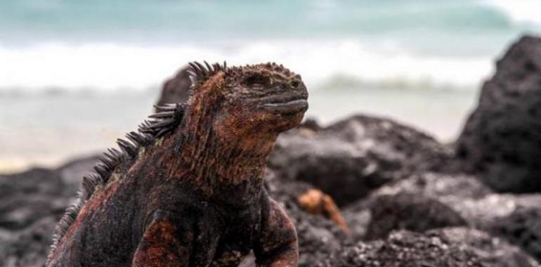 La misión científica de la National Geographic 