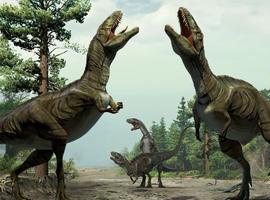 Los dinosaurios 'retozaban' antes del sexo