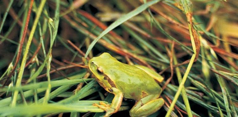 España apuesta por el uso sostenible del Patrimonio Natural y la Biodiversidad