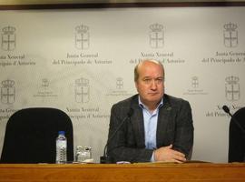 El PP critica "la mala gestión" del Principado en los incendios y defiende a los ganaderos