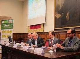 El clúster del acero asturiano quiere proyección internacional para la 'manzana del acero' de Avilés  