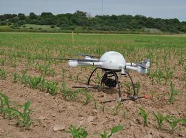Drones que vigilan las malas hierbas en campos de cultivo