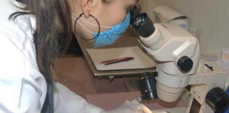 Sanidad confirma el primer caso de zika en una embarazada en España