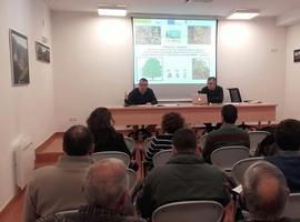 Medio Rural anuncia medidas para proteger los castañales de Las Ubiñas-La Mesa 