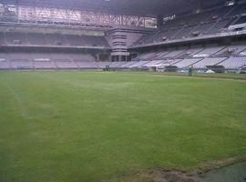 Los operarios ya trabajan en la adecuación del césped del Tartiere