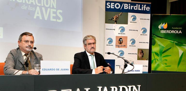 Un proyecto español con las últimas tecnologías al estudio de los movimientos migratorios de las aves