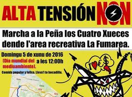 Colectivos festejan el Día del Medio Ambiente en la Peña los Cuatro Xueces