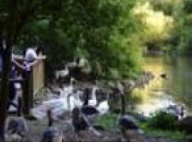 'Gijón Central Park', 4 días de música, cine y gastronomía al aire libre