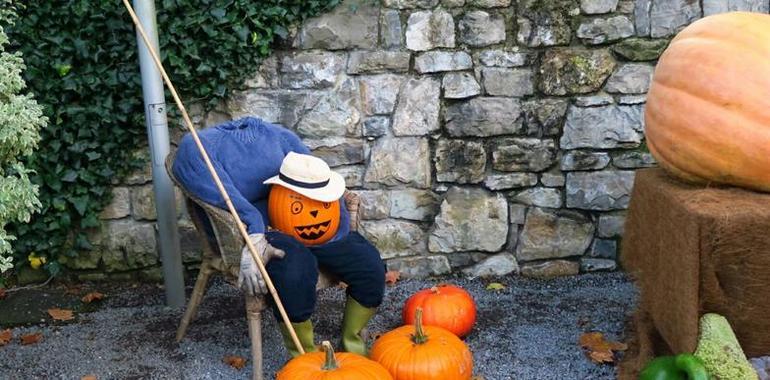Magüestu de calabaces y calaveres en el Botánicu de Gijón
