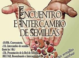 Intercambio de semillas en la Plaza del Paraguas deOviedo