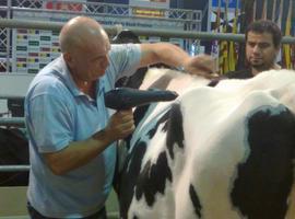 Podemos pide medidas de apoyo a la leche ecológica