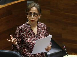 El Principado inicia consultas para alternativas de tratamiento de basuras no reciclables