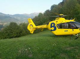 Bomberos de Asturias rescata a dos personas, una herida, de una cabaña de Amieva