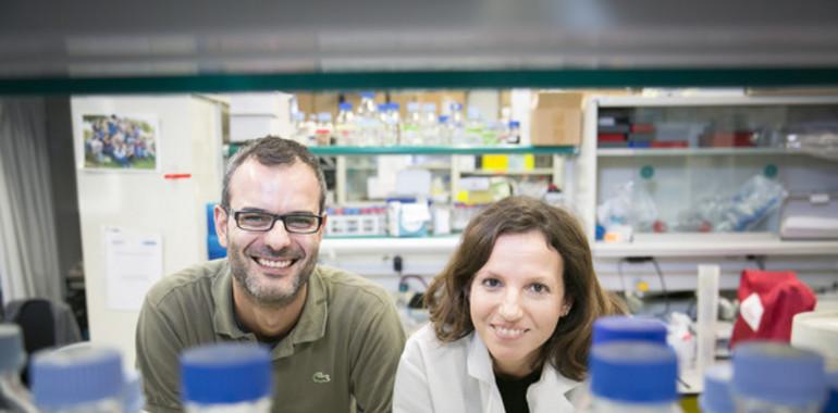 Descubren en la grasa claves de la metástasis