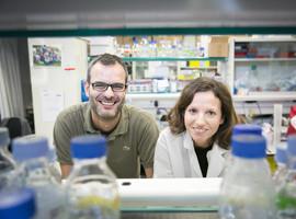 Descubren en la grasa claves de la metástasis