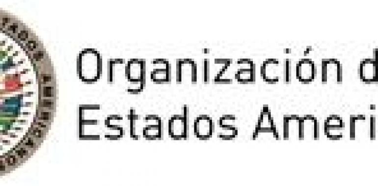 Becas de la OEA (CIDH) para jóvenes abogados