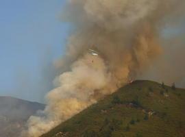 Coordinadora Ecologista d´Asturies entrega hoy su 'Bullada Purpurina' a los grupos parlamentarios