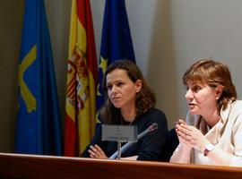 El Principado quiere aplicar en breve el copago a los dependientes residentes del ERA
