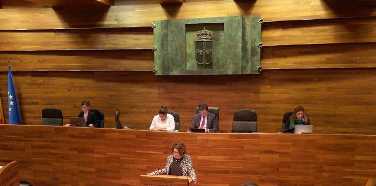 La Junta General pide mejorar la cartera de servicios del Hospital de Jarrio