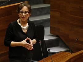 Plataforma asturiana en defensa de las infraestructuras paralizadas por el PP