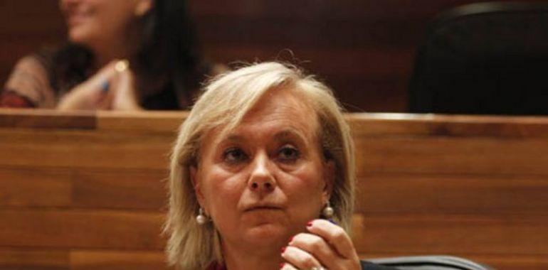 El PP tacha de 