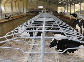 Erimsa aúna soluciones e i+d+i en la Feria de Muestras de Vegadeo