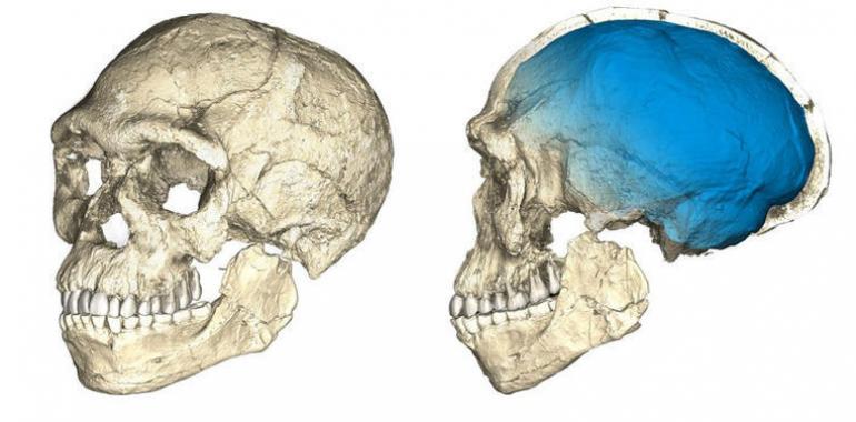 La antigüedad de Homo sapiens aumenta a más de 300.000 años
