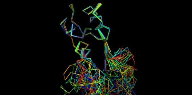 La hormona precursora de la insulina protege frente al deterioro cognitivo