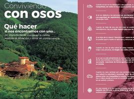 25.000 trípticos aconsejan sobre conducta en casos de avistamiento osero