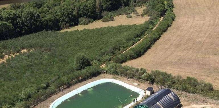 Fallece un trabajador senegalés en un embalse en Grandas de Salime