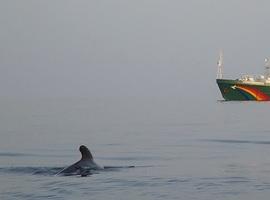 Greenpace lleva a Coruña, Gijón y Bilbao la 'Esperanza' del mar