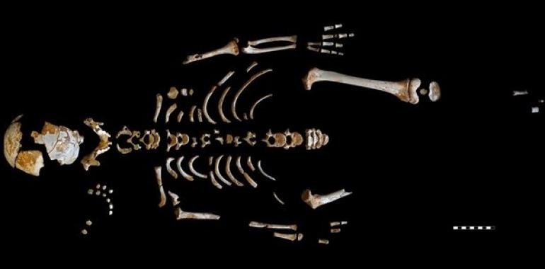 Un niño de El Sidrón desvela el crecimiento de los neandertales