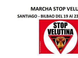 La marcha contra la Vespa Velutina llega a Gijón