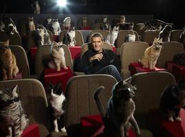 Puss in Boots in Hollywood