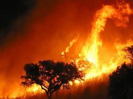 149.289 euros para campaña de concienciación contra los incendios forestales