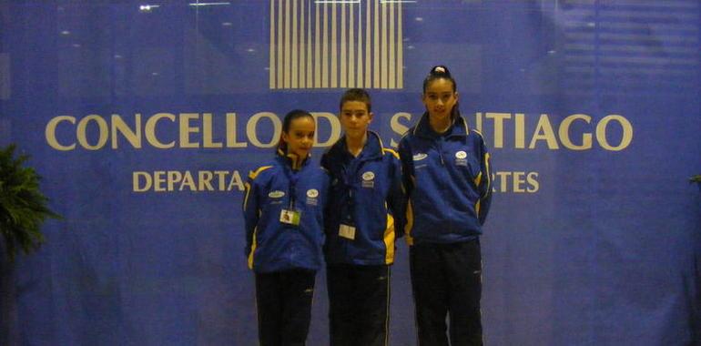 Buen papel de la representación asturiana en el Campeonato de España de Patinaje Artístico