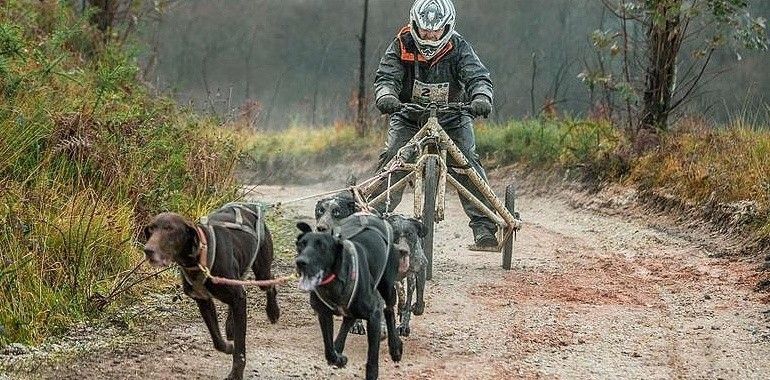 Copa España Mushing: Un día de perros en La Fresneda