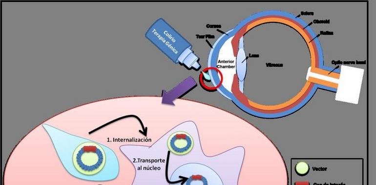 Patentan una terapia con nanopartículas para paliar el Síndrome de Ojo Seco