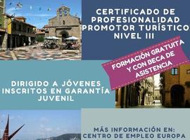 El Fondo Social Europeo concede una ayuda de 96.484 euros al Ayuntamiento de Avilés