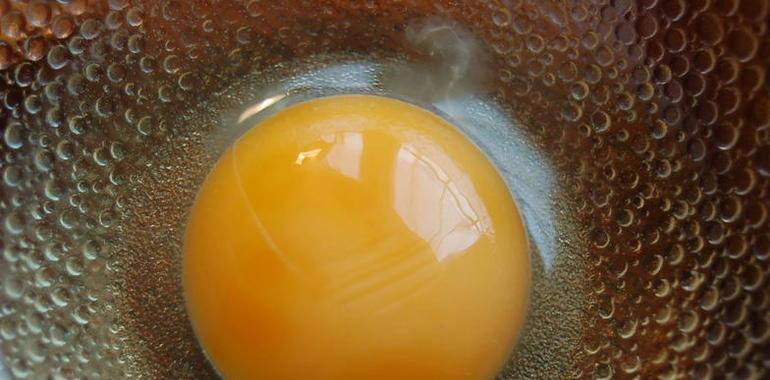 El huevo, la leche y el pescado son los alimentos que originan más reacciones alérgicas