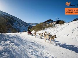 Mushing en nieve en Valgrande-Pajares