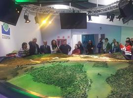 Oviedo inicia la campaña para implantar el cubo marrón en todo el municipio