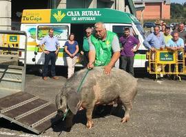 Asturcelta: 'Katy'  le planta cara al cáncer